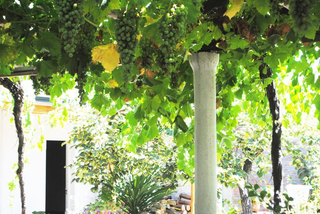 Hostal Petit Verdot Santa Cruz Exteriér fotografie